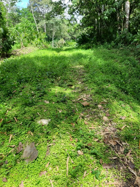 Metivier Trace, Mundo Nuevo, T..