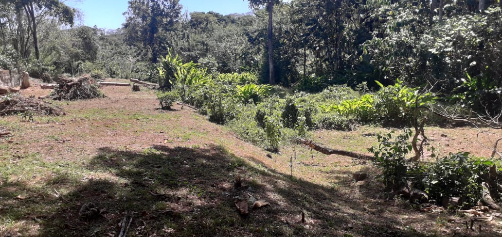 LAND SALE – PRIME RESIDENTIA..