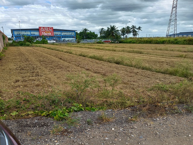 LAND FOR SALE BOUNDING ARANGUE..