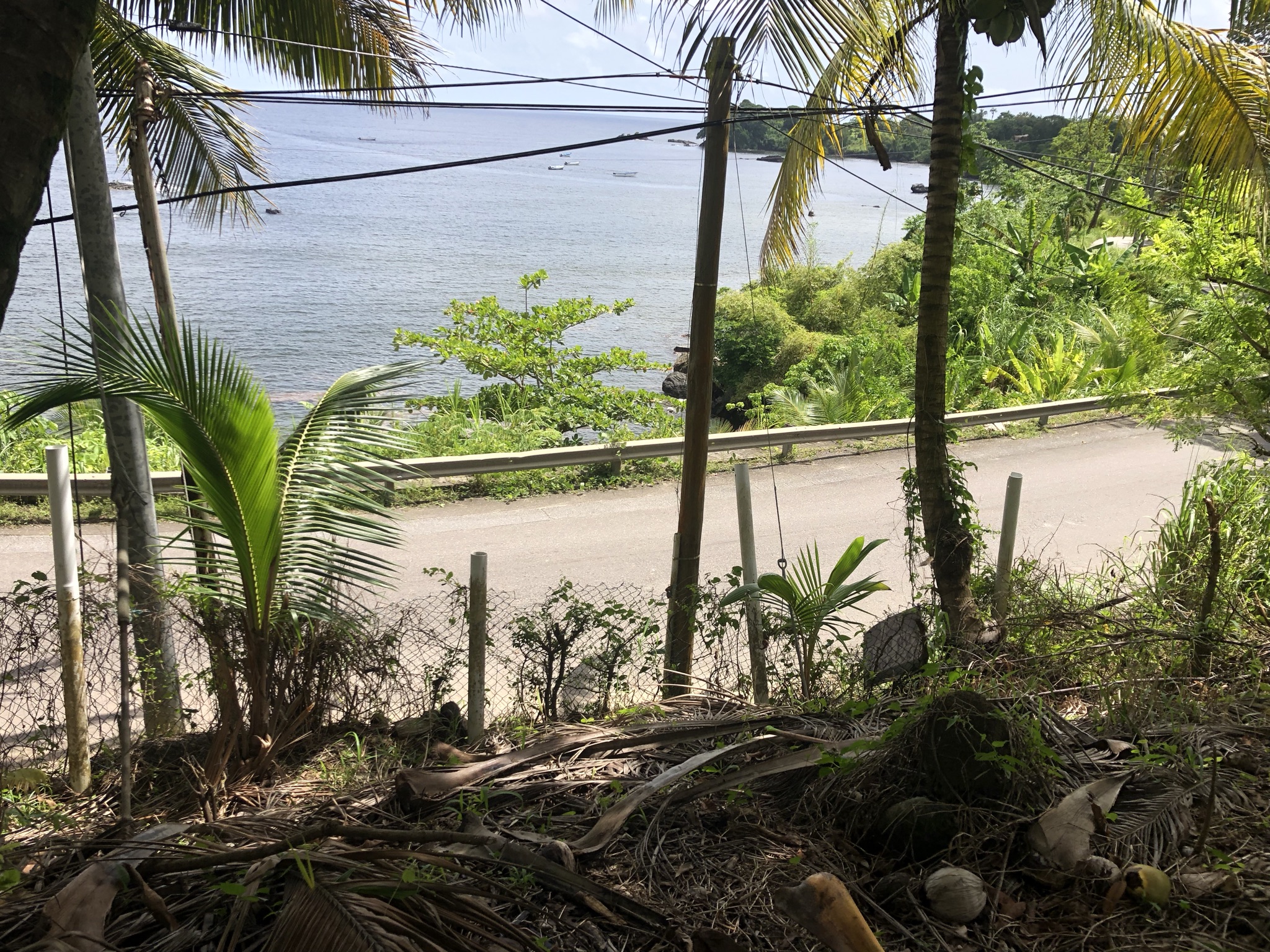 Toco 16,828 sq ft Land