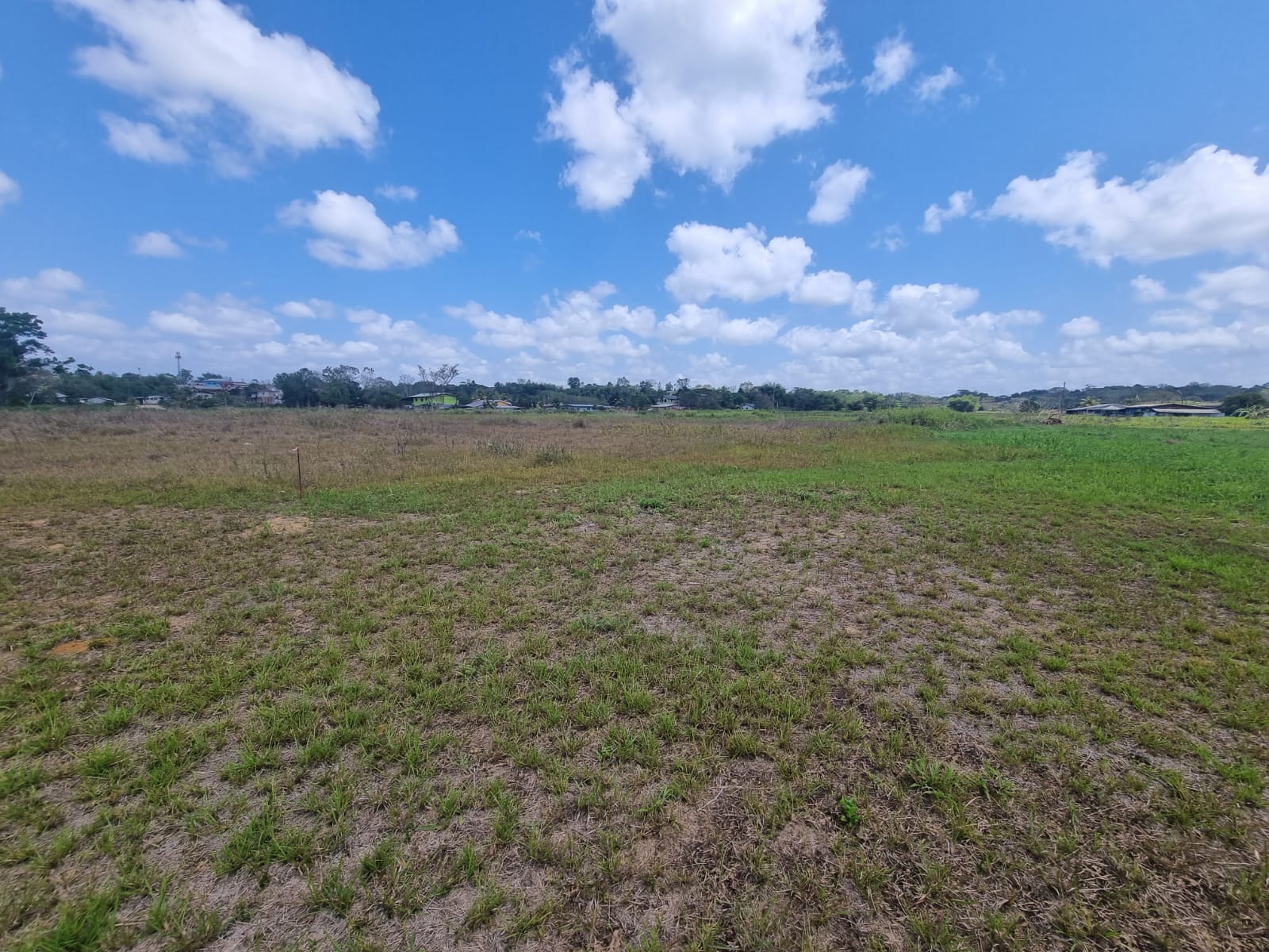 Las Lomas Flat Residential Lan..