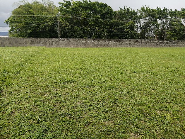 SUPER-PRIME LOT#18, ACACIA PAR..