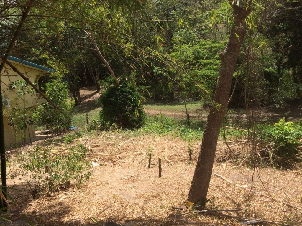 Mahogany Avenue, off Charles S..