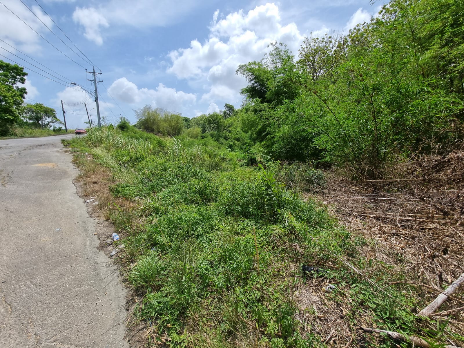 Tabaquite Agriculture land for..