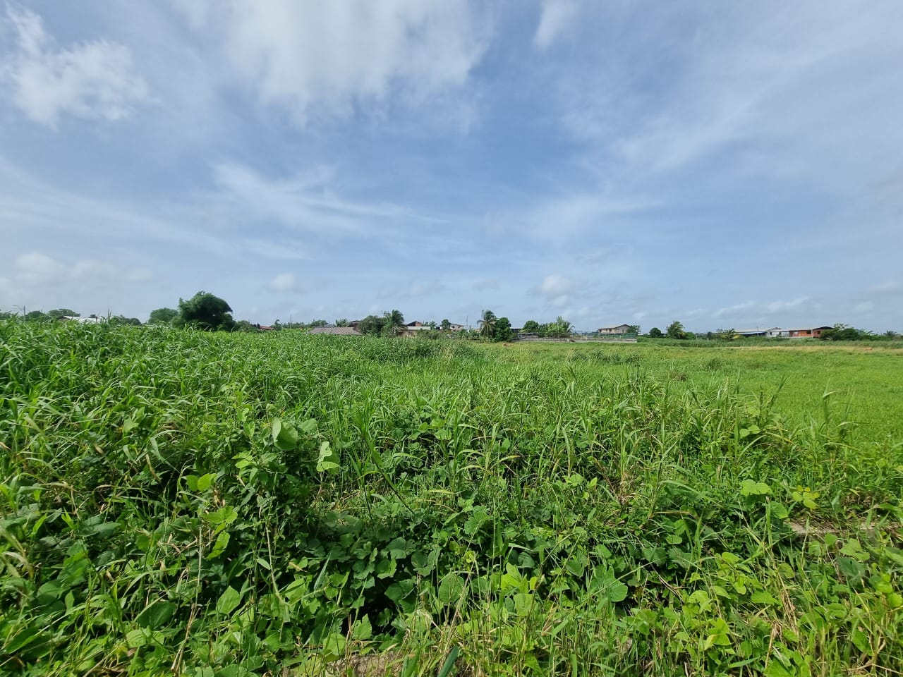 Approved Plots For Sale Gopie ..