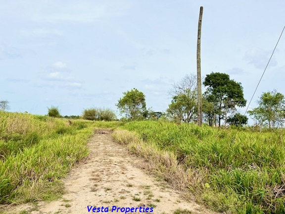 Land for Sale - St. Helena