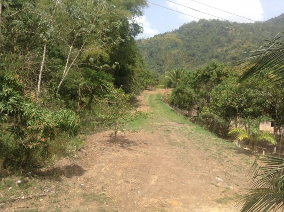 Caura Royal Road, Caura