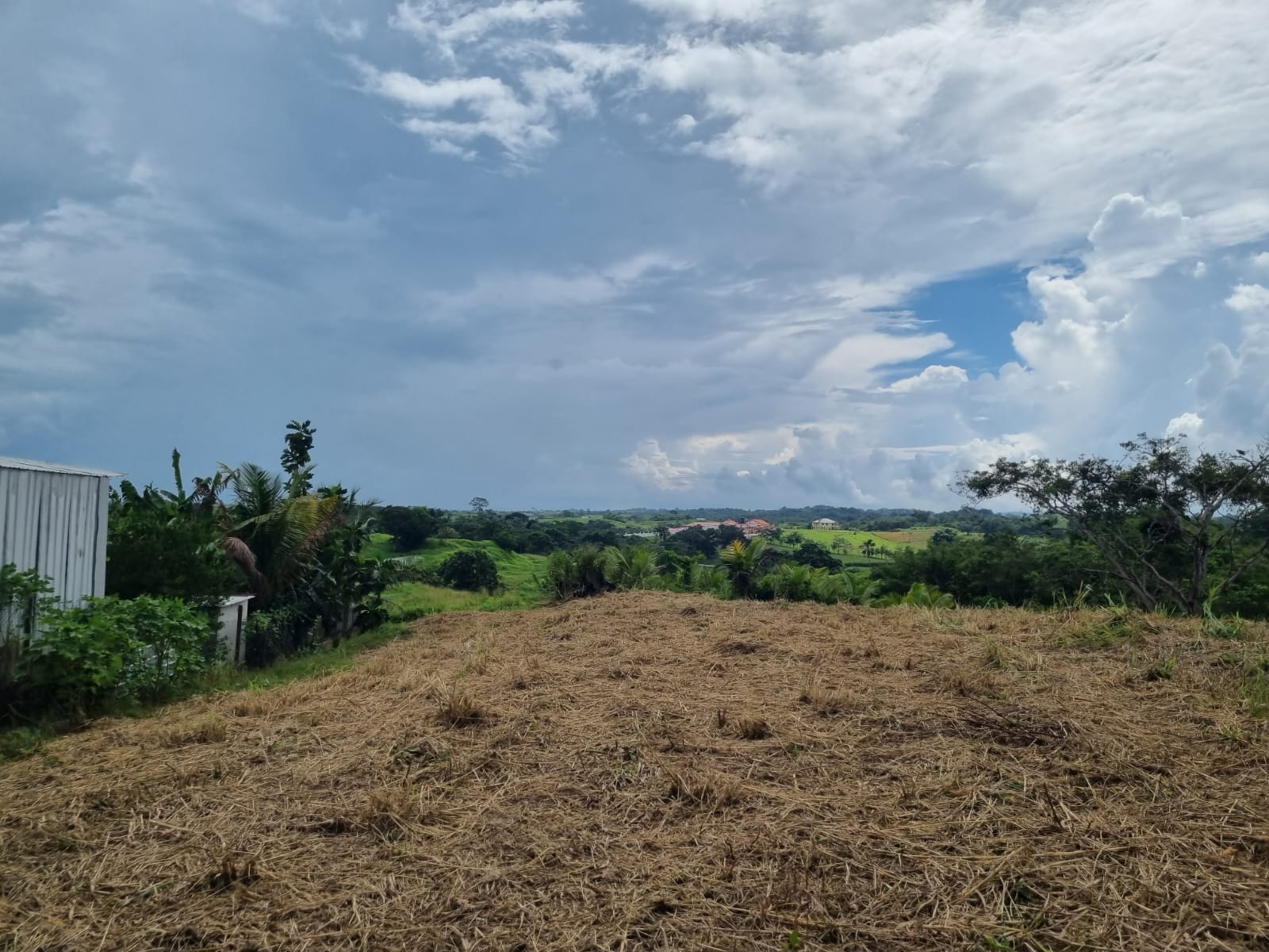 Arena Cemetery Street Freeport..