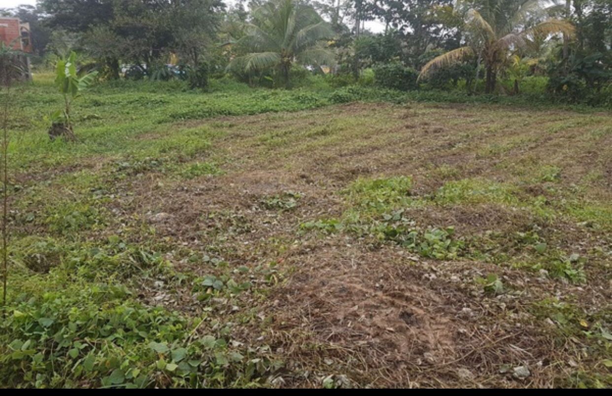 Approved Building Lot, Cunapo Southern Main Road, Rio Claro - $300,000.00