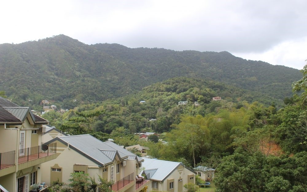 Tierra Nuevo Gardens -Mountain..