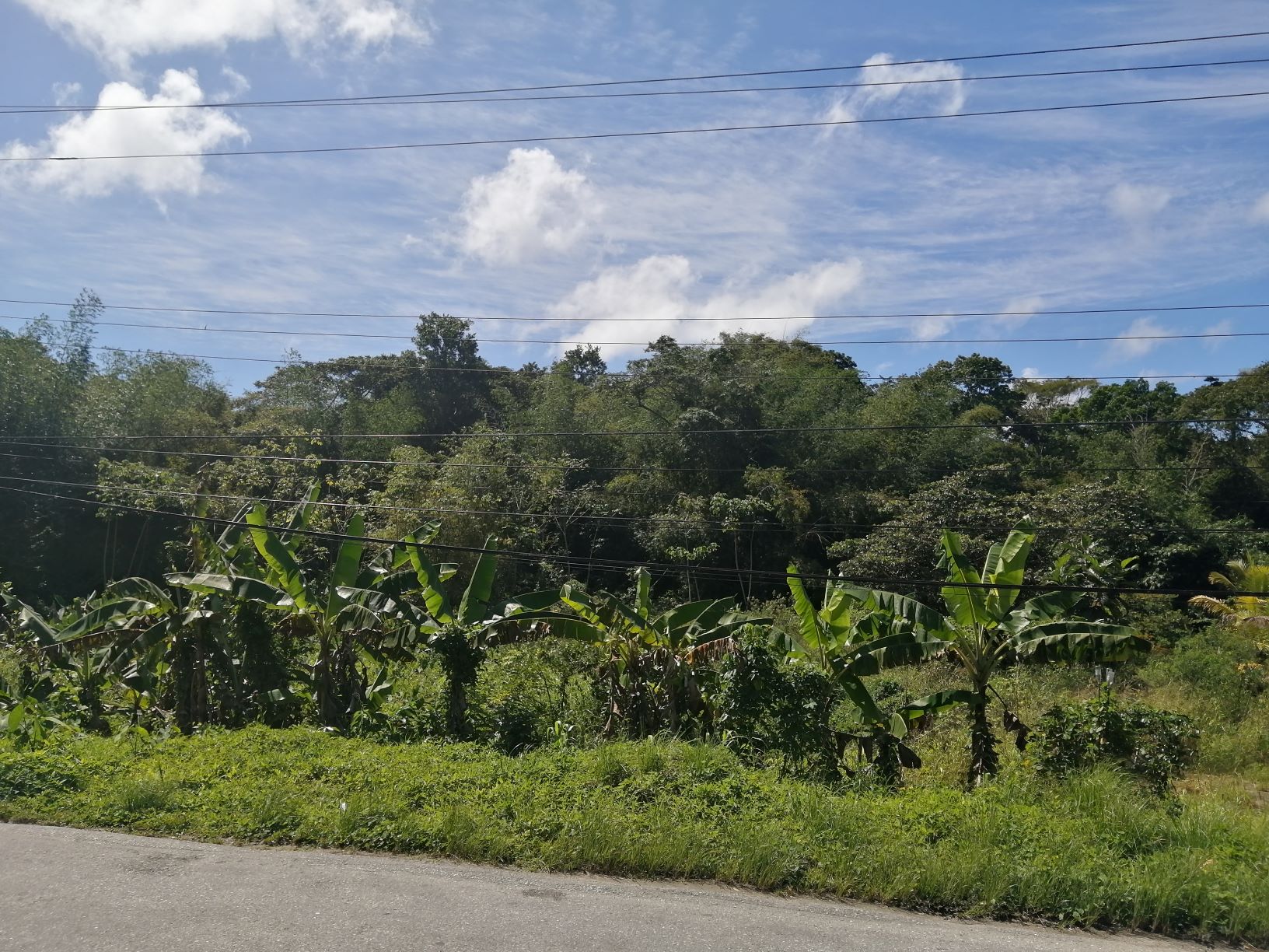 Land for Sale Sangre Grande/Ma..