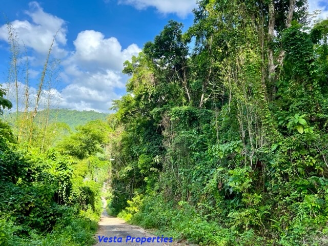 Land for sale - Santa Cruz