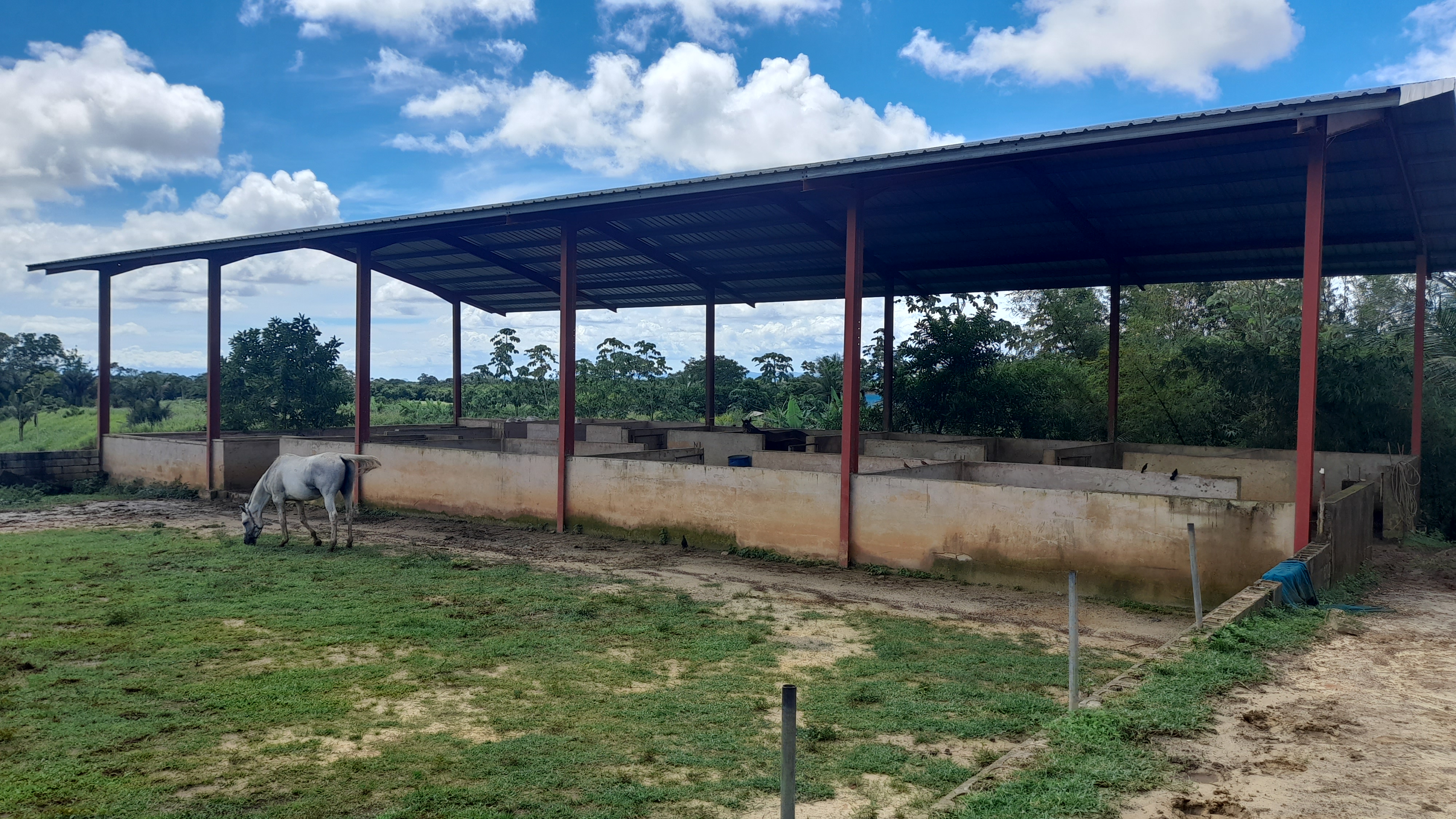 15.32 Acres Freehold Land/Hors..